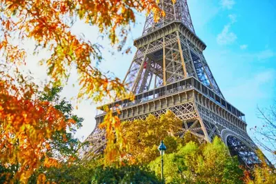 Image de Magnificent corner apartment, oak parquet flooring & moldings-Champs De Mars