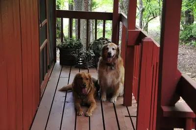 Image de A Cabin On Paradise Tranquil cabin in Murphy - Perfect getaway for relaxation