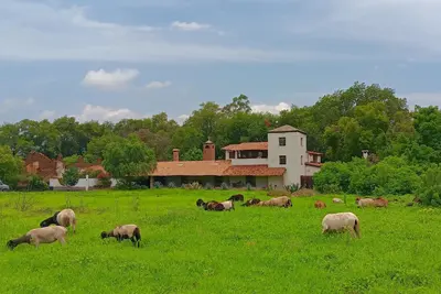 Image de Historic country estate near the Monarch butterflies