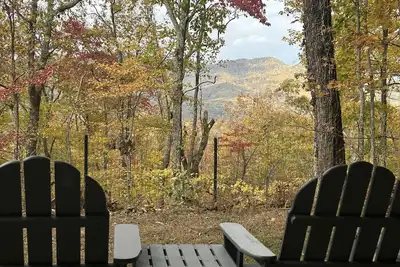 Image de Puppy Breath Mountain Views