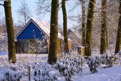 Image de Enjoy a comfortable stay in the IJssel Comfort bungalow for 4 people at Vakantiepark de Sallandshoeve, surrounded by the beauty of Overijssels Salland nature.