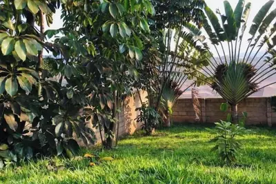 Image de Calm Chaos D