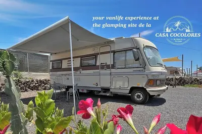 Image de Co-Living at Casa Cocolores