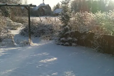 Image de Vacation apartment Albrecht - FeWo