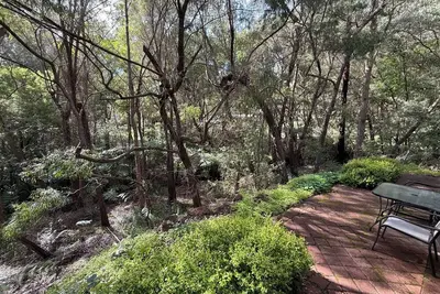Image de Arcadia Cottage in the Forrest in Town