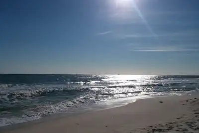 Image de Plantation Palms 6106