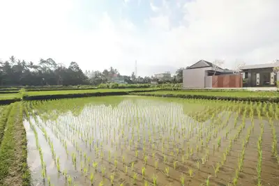 Image de Vila Padma Bali - A Trishula Collection