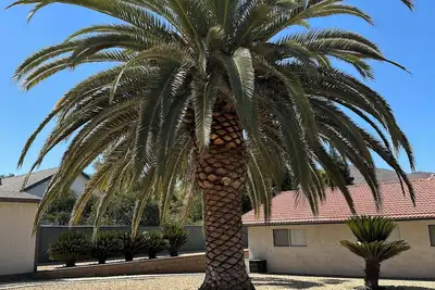 Image de Spacious 4-bedroom house in Riverside with Ac