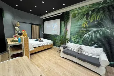 Image de Studio Jungle with breakfast and video projector