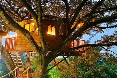 Image de Cabaña en un árbol en Santa Elena