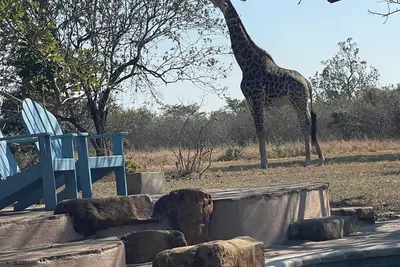 Image de Stylish 3-Bedroom Villa in Dombeya Game Reserve- Your Perfect Eswatini Safari!