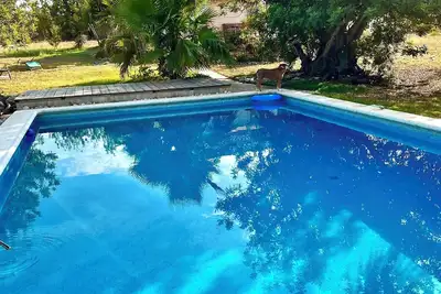 Image de Finca close to nature in a secluded location approx. 10 km from the sea. Between olives and oranges