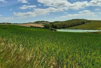 Image de Les Acacias d'En Cassé