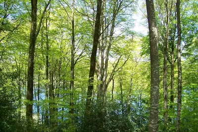 Image de Les gîtes de la Planette - gîte 9