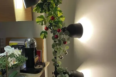 Image de Vancouver high end lifestyle: YaletownWaterView