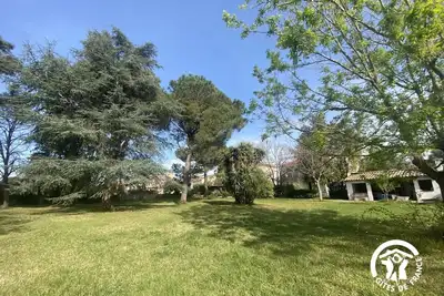 Image de Le Cèdre du Parc de la Dame