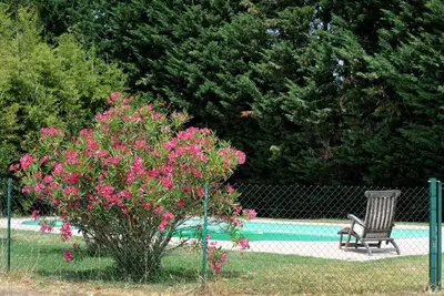 Image de Les oliviers - Thuir