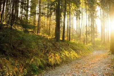 Image de 2-bedroom villa in serene Branson with hiking, putt putt, indoor pools, and more