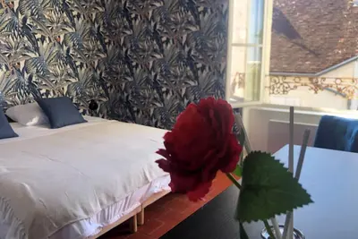 Image de Gite 9 personnes proche Zoo de Beauval, Châteaux de la Loire, Pellevoisin