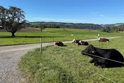 Image de Lux Duplex apartment with Sauna & Cold plunge 10 mins from Zürich city