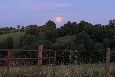 Image de Sunshine Farms - Family Fun Williamstown Ky