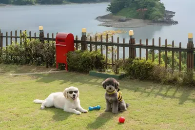 Image de Yeosu Greenhouse Pension