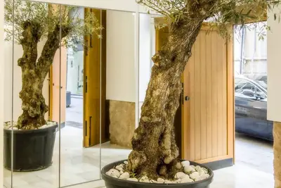 Image de Catalina Suites Downtown Valencia