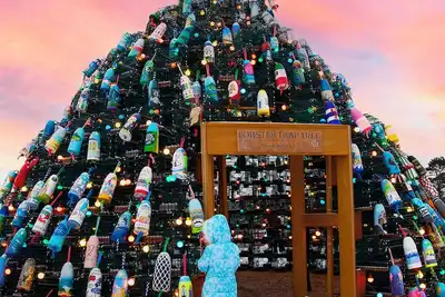 Image de Cozy Stonington Borough Cottage and Quick Walk to the Lobster Trap Tree