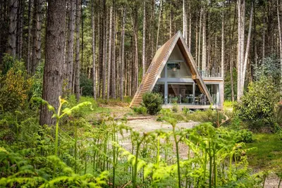 Image de Set in an exclusive and secluded development of gorgeous woodland lodges in Weybourne Forest, Liz's