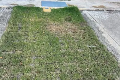 Image de Cozy three bed room apartment, 5 minute walk to the beach in Las Terrenas