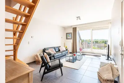 Image de Spacieux appartement en duplex avec 2 terrasses