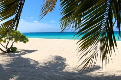 Image de Tikehau - Pink Dream Family 2