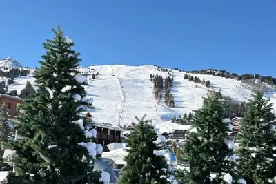 Image de Appart sur piste 7p centre-ville