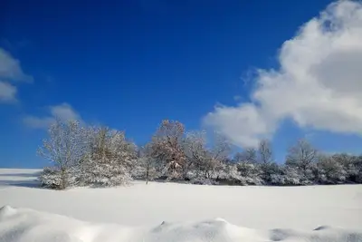 Image de Vacation apartment \"Fröhlich am Baderbichl\"