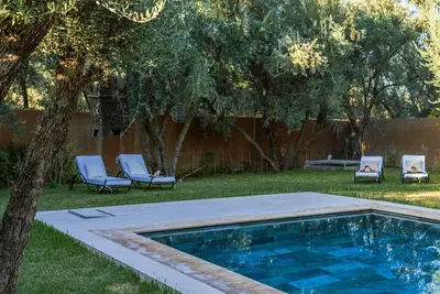 Image de L'Échappée Belle au cœur des oliviers