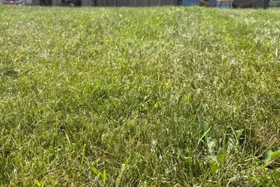 Image de Cabañas Camiño do Mar