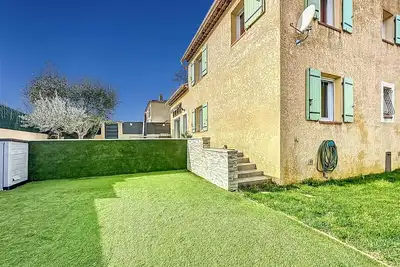 Image de Dans le jardin des olives