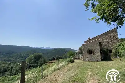 Image de Les euphorbes - St-Laurent-De-Cerdans