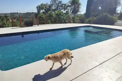 Image de Olive Room | King Ensuite with Garden Views