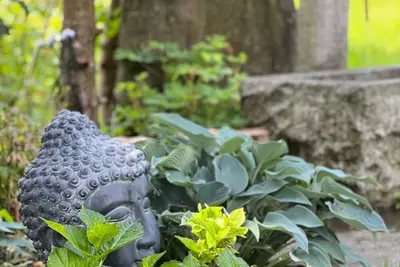 Image de Peace, relaxation, nature, families, couples, workation - in the Little Hideaway zillertal