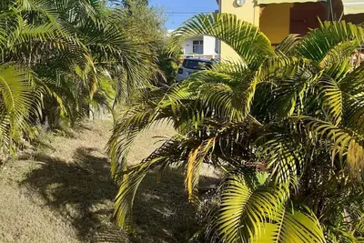 Image de Bungalow nature zen avec jacuzzi privé