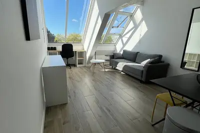 Image de Les clarines, les Minimes, Lr131