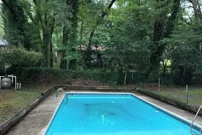 Image de Beautiful pool home near Fsu, capitol, and Famu!