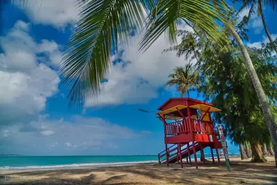 Image de Charming Rainforest Retreat with Ocean View