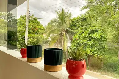 Image de Teocailli 2