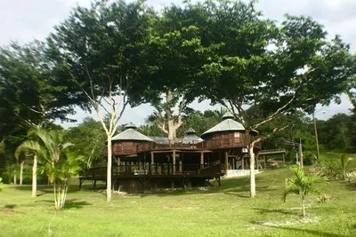 Image de Stunning Tree House with Private Pool Surrounded by Nature in Cayo District, Belize