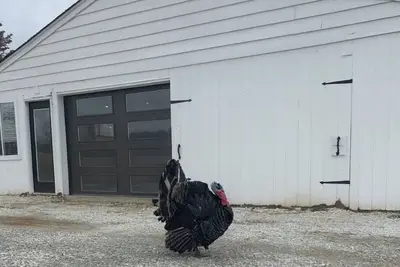 Image de The Cowboy Bunkhouse