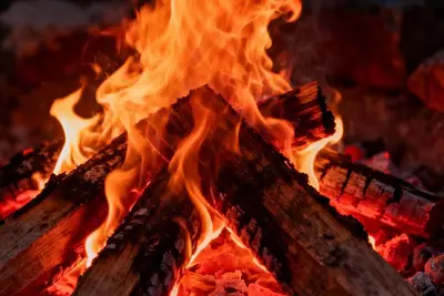 Image de Return to nature