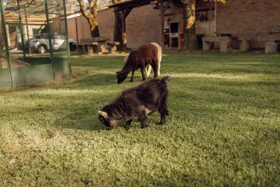 Image de Quinta Verde Esperança