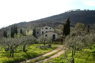 Image de Vacation home for 10 guests with 170m² in Cortona (295216)
